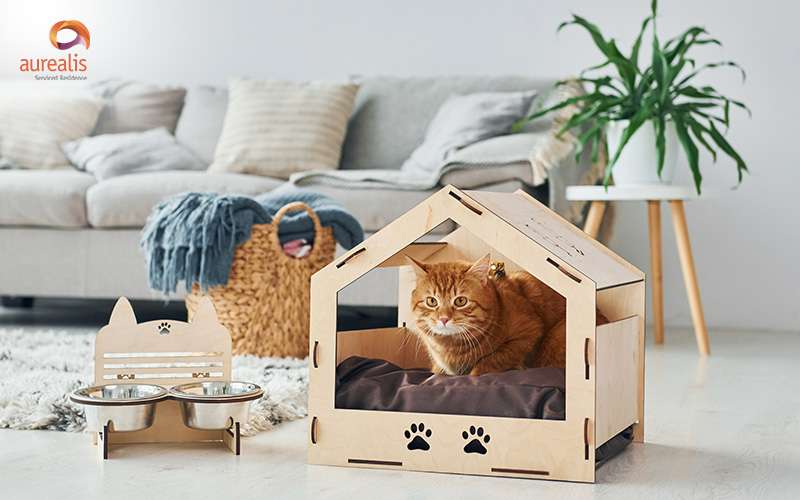 Comfortable Living Environment
