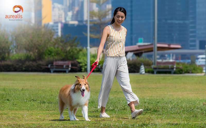 Nearby Dog-Friendly Parks and Outdoor Spaces