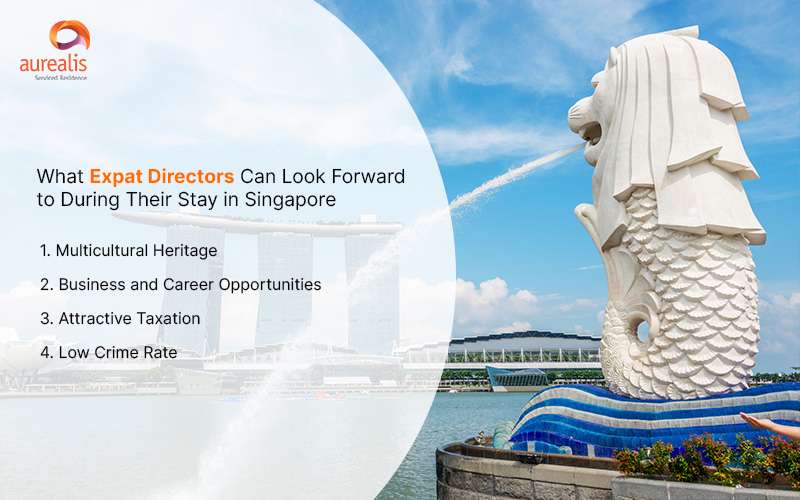 Expat experience highlights