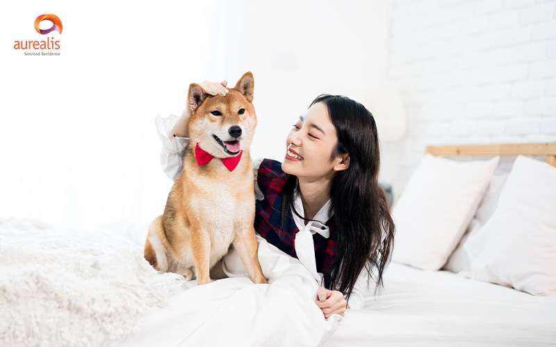 Smiling woman petting her Shiba Inu wearing a red bowtie.