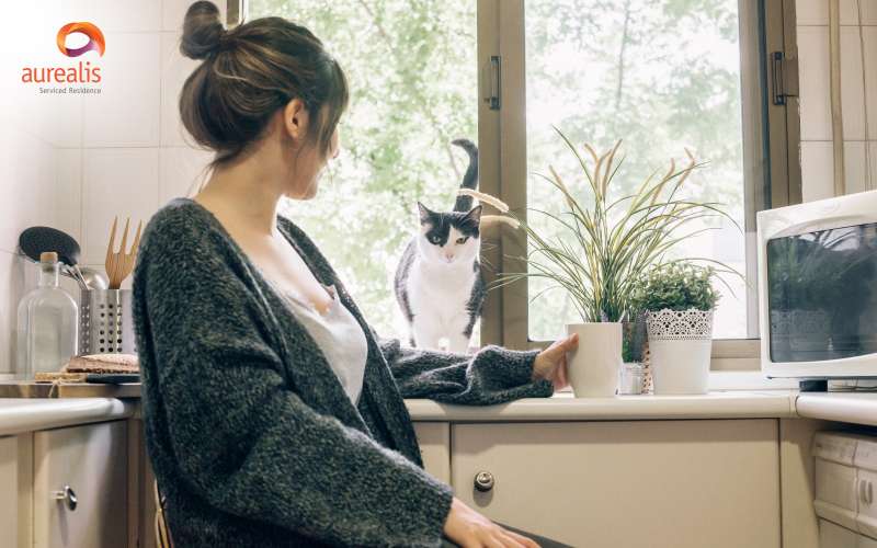 Woman interacting with her cat on a kitchen windowsill.