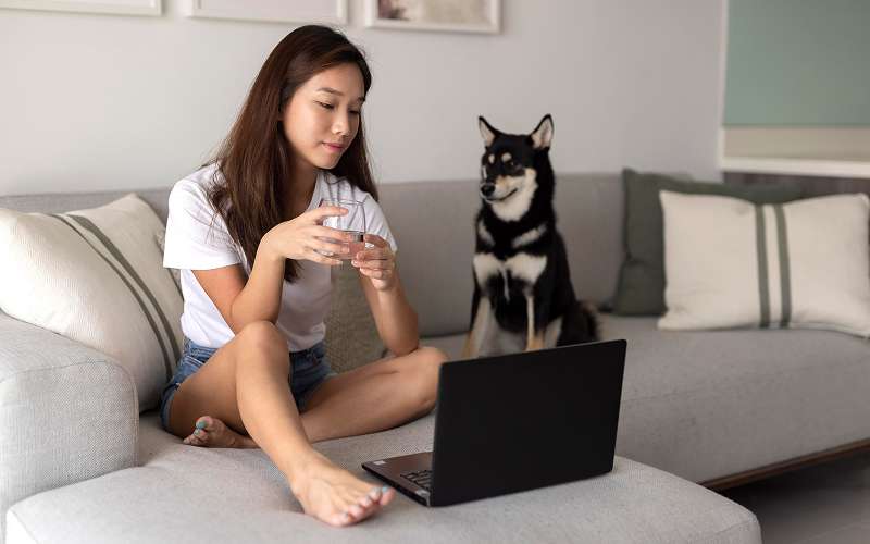 Woman using laptop next to dog in serviced apartment.
